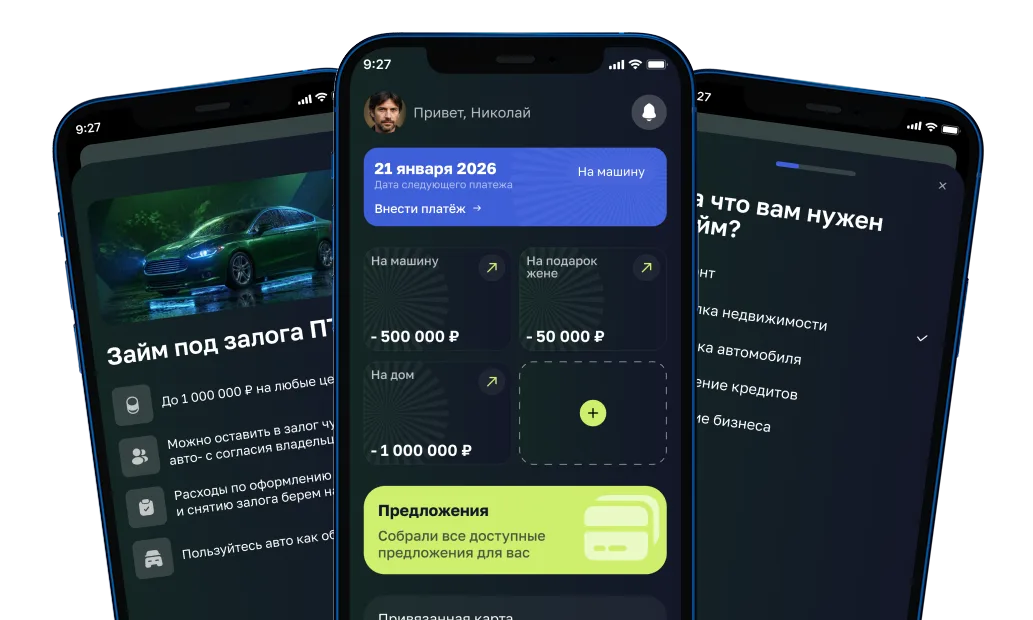 Для МФО: ломбардов, займов