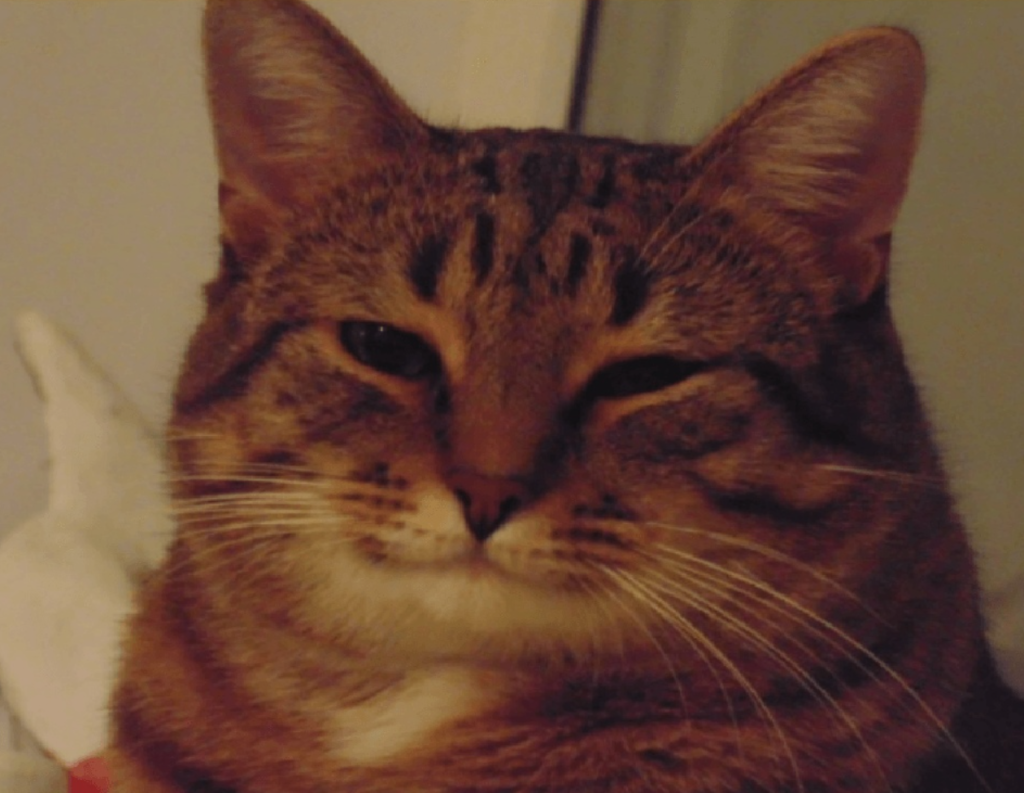 настройка ftp в bitrixvm